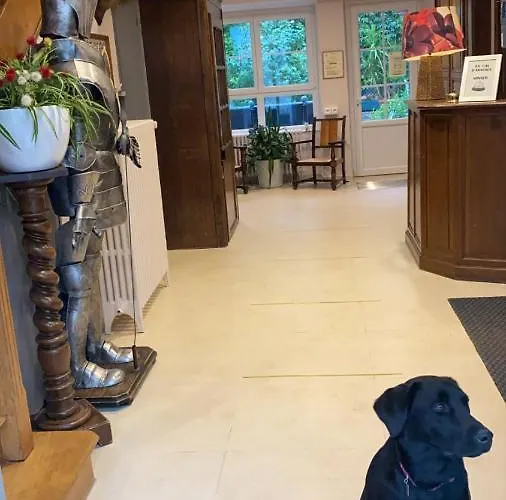 Restaurant Le Parc Arc-en-Barrois